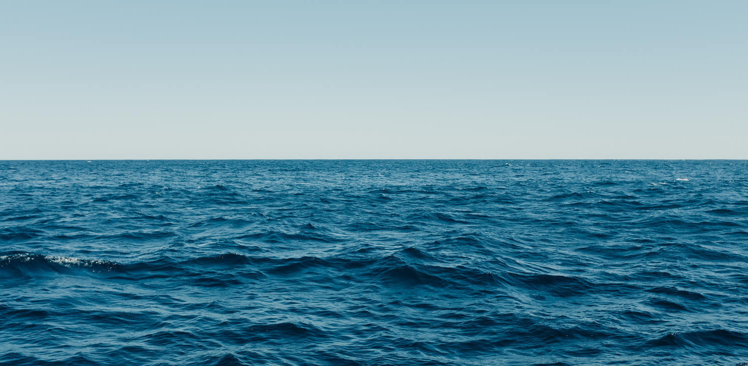 WHY SUPPLEMENTING IN TODAY’S WORLD IS NECESSARY