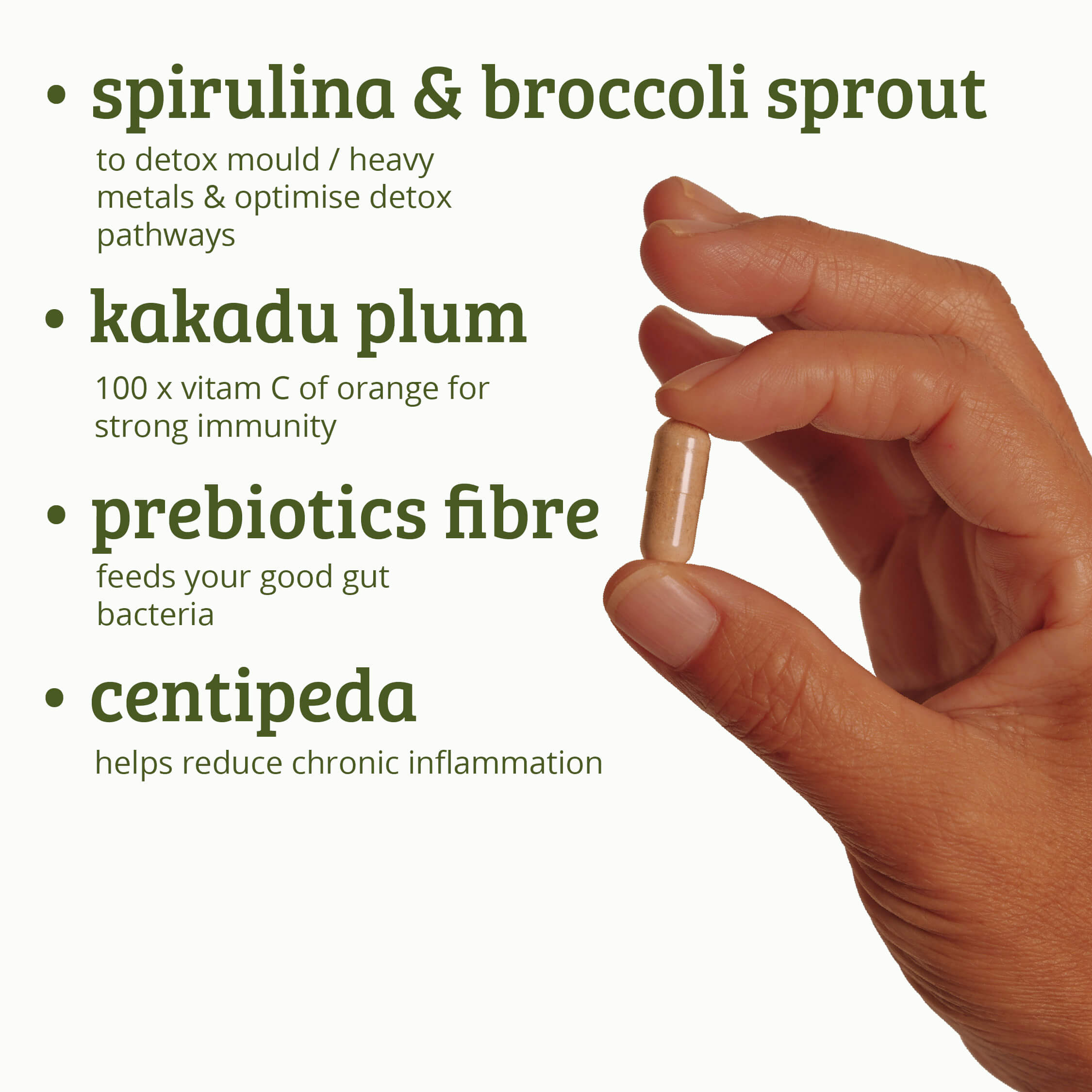 Cleanse & Digest Bundle
