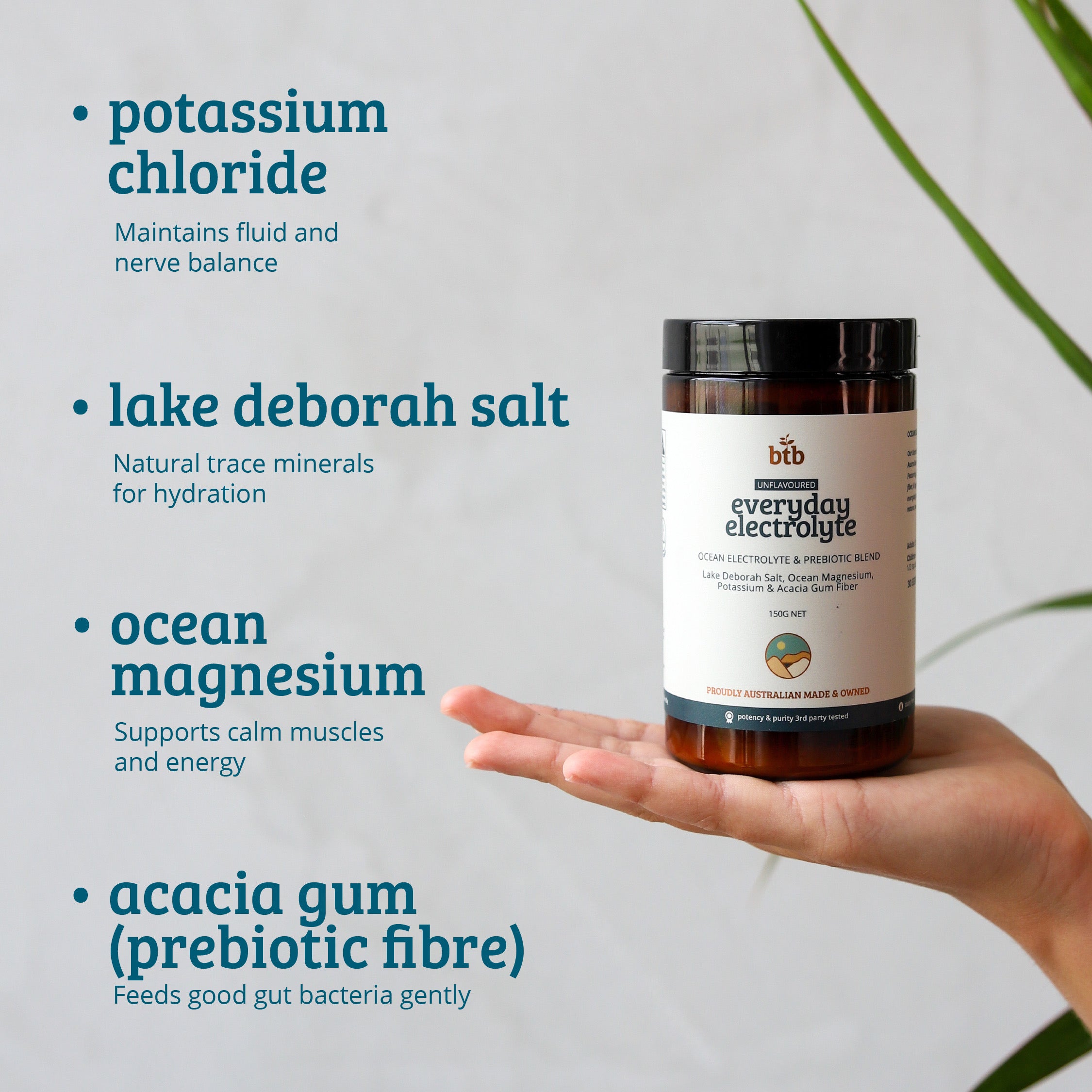 Everyday Electrolyte