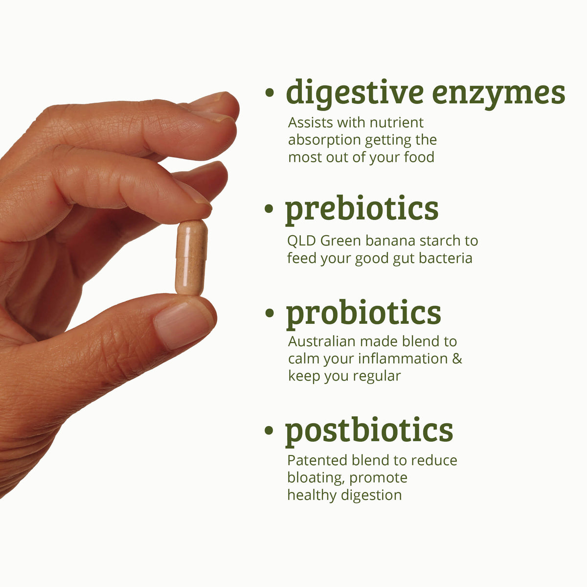 Gut Health Powder | Probiotic, Prebiotic Supplements Australia