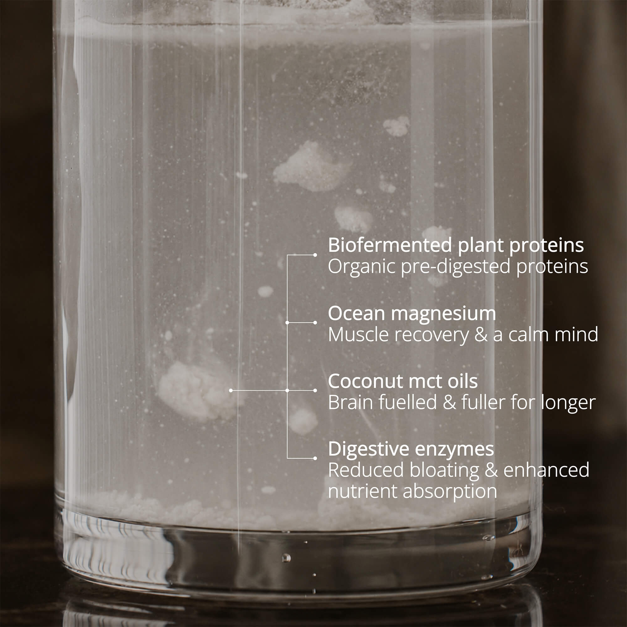 Nature's Plant Protein